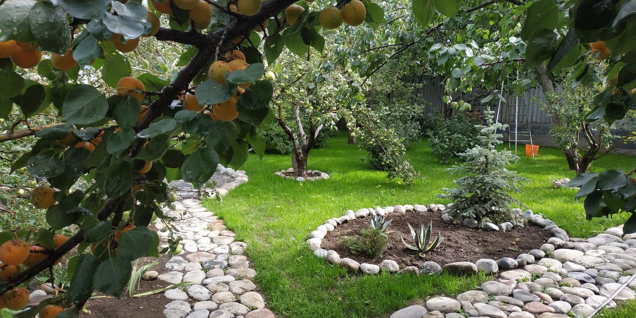 Evergreen Guesthouse Karakol Exterior foto